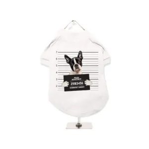 Police Mugshot Boston Terrier T-Shirt